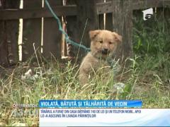 O bâtrână de 79 de ani din judeţul Vaslui, bătută, violată şi tâlhărită de un vecin