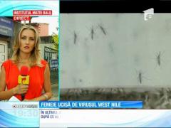 O femeie a murit după ce a fost infectată cu virusul West Nile