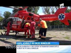 Copil rănit grav de calul bunicilor