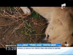 Observator 13 Weekend