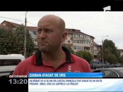 Un bărbat de 42 de ani din județul Vrancea a fost atacat de un urs în pădure