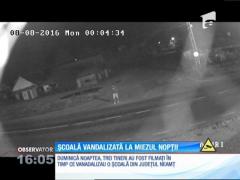 Trei tineri filmaţi în timp ce vandalizează o şcoală din Neamţ