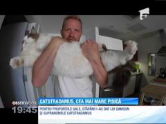 Cea mai mare pisică din lume are 13 kilograme şi măsoară peste un metru şi 20 de centimetri în lungime