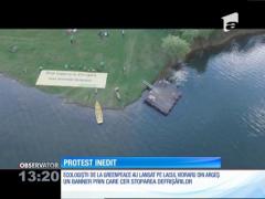 Ecologiştii de la Greenpeace au lansat un banner prin care cer stoparea defrişărilor
