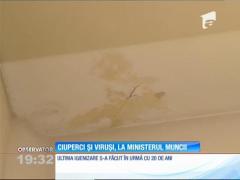 La Ministerul Muncii se munceşte în condiţii periculoase. Angajaţii se plâng de bronşite, de la virusii din aparatele de aer condiţionat