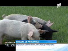 Zeci de copii s-au întrecut într-o competiţie de prins purceluşi, într-un oraş din Arad