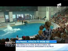 Delfinariul, atracția turiștilor pe vreme rea