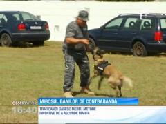 Observator 16 Weekend