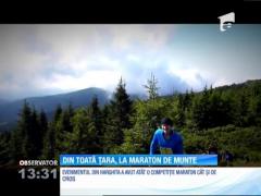 Peste 250 de alergători au participat la evenimentul "Harghita Trail Running 2016"