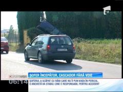 Un şofer din Piatra-Neamţ a devenit cascador fără voie