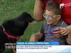 Observator 16 Weekend