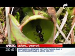 Special! Planeta nu duce lipsă de prădători feroce