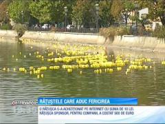 Peste o mie cinci sute de răţuşte din plastic au plutit pe Dâmboviţa