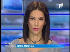 O pisică persană a devenit vedetă pe Internet după ce stăpâna i-a făcut public talentul de maseuză