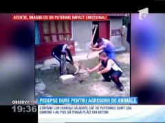 Pedepse dure pentru agresorii de animale