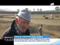Stare de alertă din cauza secetei în două comune din judeţul Botoşani