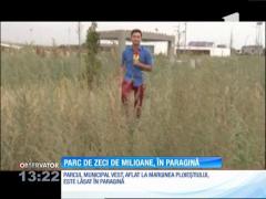 Parcul Municipal Vest din Ploieşti, în care s-au investit zeci de milioane, în paragină