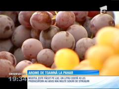 Oradea găzduiește în premieră festivalul mustului