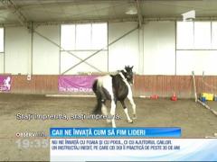 Caii ne învață cum să fim lideri