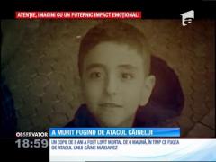 Un băiat de numai 8 ani a murit absurd, încercând să se salveze de atacul unui maidanez!