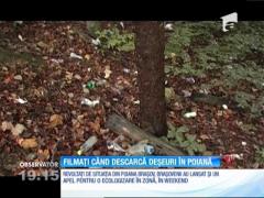 Angajaţii unei firme de salubritate, filmați în timp ce aruncau deșeuri în pădure
