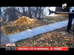 Special! Pentru căței, fericirea stă în mormanul de frunze