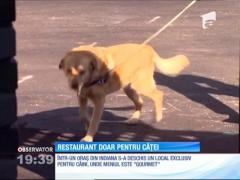 Primul restaurant pentru câini