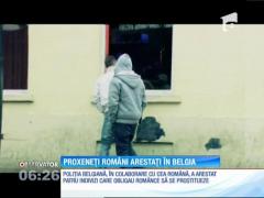 O reţea de prostituţie din România, anihilată în Belgia
