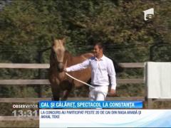 Cal și călăreț, spectacol la Cupa Equestria
