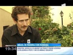 Măcel în pădurile din România! Ministerul mediului vrea să dea liber la vânătoarea a peste 1500 de animale sălbatice