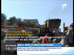 Faleza Nord din Constanţa, poluată cu dejecţii