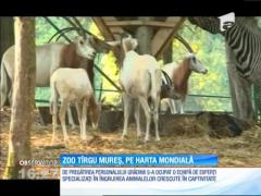 Zoo Târgu Mureș, pe harta mondială a grădinilor zoologice