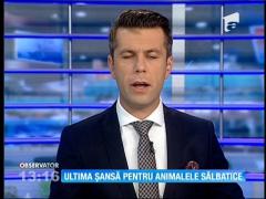 Observator 13 Weekend