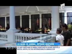 Intrare gratuită la Muzeul Antipa pentru vizitatorii care poartă numele unui animal