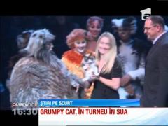 Cea mai faimoasă pisică din lume, Grumpy Cat, are  o replică în ceară