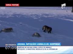 Ordinul care a învrăjbit vânătorii şi iubitorii de animale, suspendat de ministrul Mediului