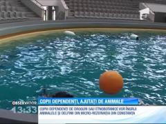 Cu ajutorul animalelor, 10 studenţi din Constanţa au reuşit să scape de dependenţa de droguri