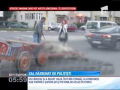 Un căruţaş care îşi lovea calul cu brutalitate a primit o corecţie din partea poliţiştilor