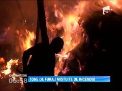 Tone de furaje au fost mistuite de flăcări într-o localitate vasluiană