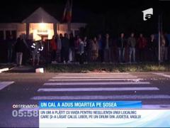 Un cal lăsat liber pe un drum din judeţul Vaslui i-a adus moartea unui şofer
