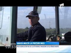 Varză multă la preţuri de nimic