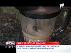 Special! Trucuri cu uleiul de cocos, în bucătărie