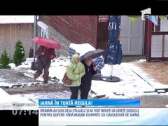 A venit iarna! Ninge ca-n poveşti de două zile în judeţul Neamţ şi Harghita