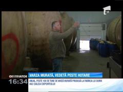 Observator 16 Weekend