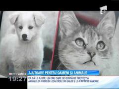 Ajutoare pentru animalele care au scăpat de inundaţiile din judeţul Galaţi