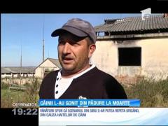 Noi imagini cu ursul executat la Sibiu! Animalul ar fi fost gonit de câini spre moarte