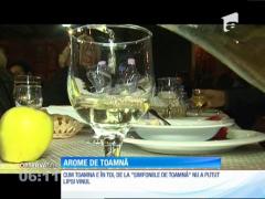 Festivalul Vinului 'Simfonii de toamnă' din Tîrgu-Mureş