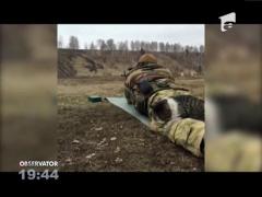 Ce face o pisică pe câmpul de luptă? Stă pe picioarele unui soldat şi doarme. Imaginile cu felina vitează fac senzaţie pe internet