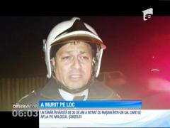 Un cal i-a adus sfârşitul unui tânăr pe o şosea din judeţul Hunedoara