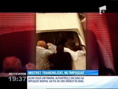 Mistreț rătăcit în oraș, tranchilizant și eliberat în sălbăticie